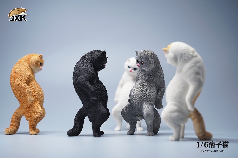 [สั่งจอง]JXK JXK088 1/6 : Exoticshorthair