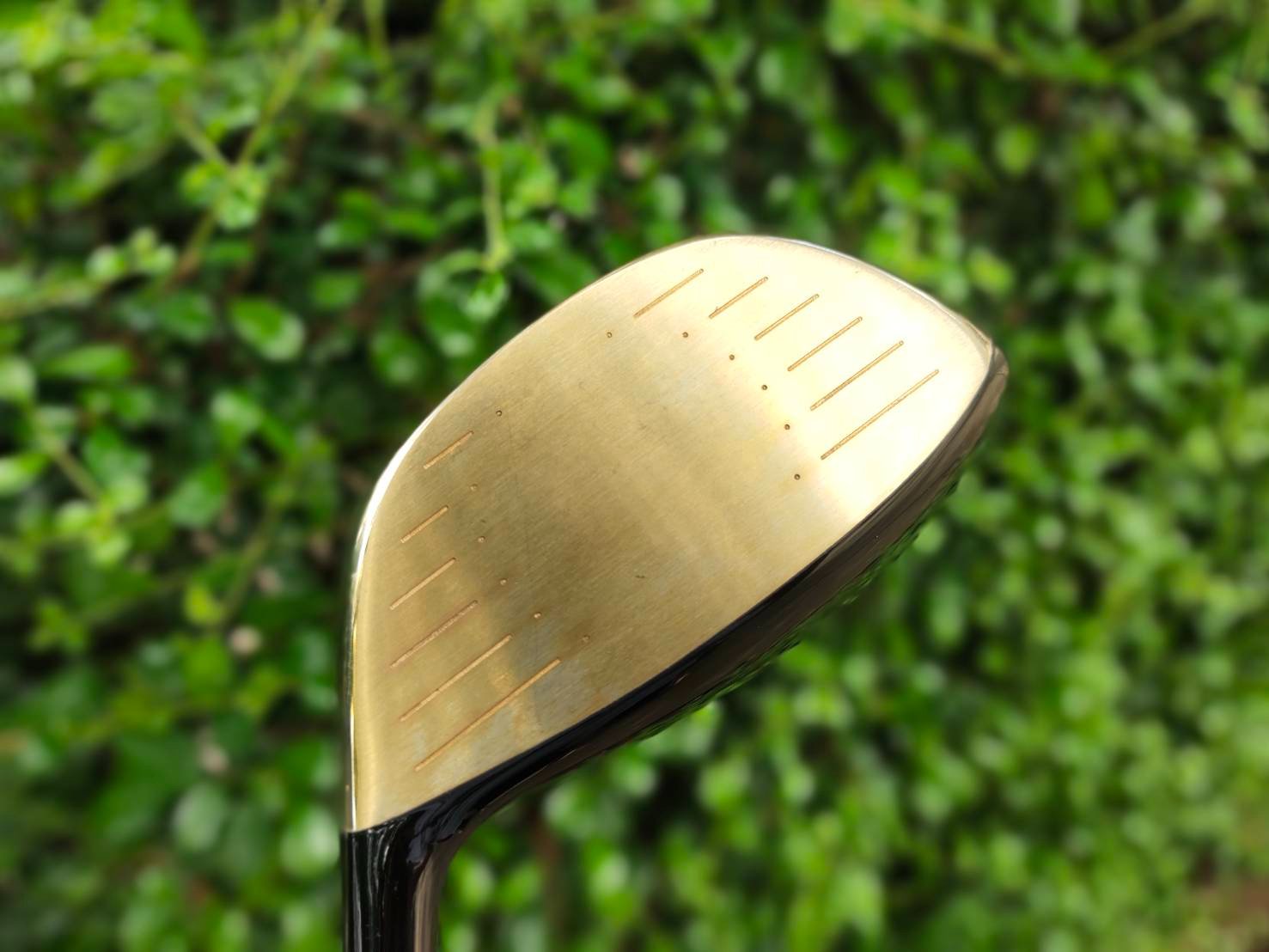 Katana Voltio Platinum HIGH COR หน้าเด้งโหดมาก