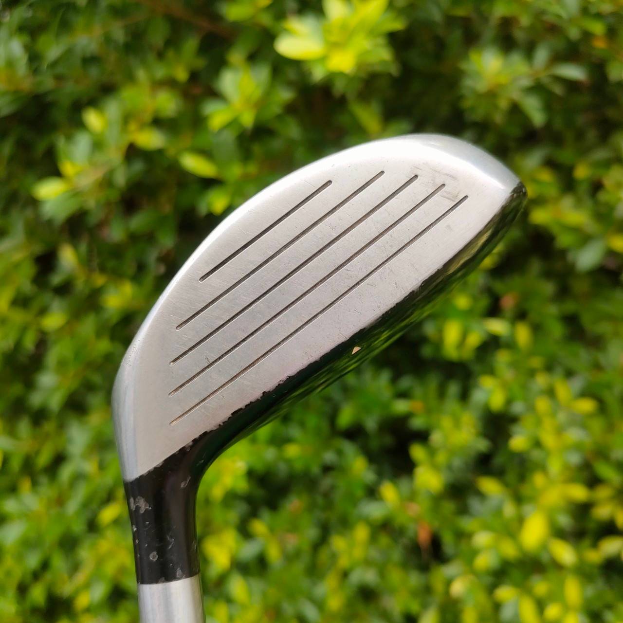 FW3 ROYAL COLLECTION FD องศา 16 ก้าน GRAPHITE DESIGND FD FLEX R เป็นสุดยอด FW ระดับพรีเมี่ยม!! การออกแบบด้านพื้นที่พิเศษมาก!! ไม้กอล์ฟมือสอง ของแท้ BY NakaraLuxurious