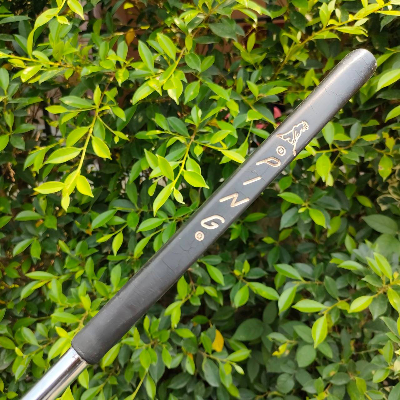 PUTTER PING ZING 2 ความยาว 34 นิ้ว พัตต์แม่นยำ และมาตรฐาานสูงสุดสำหรับพัตเตอร์