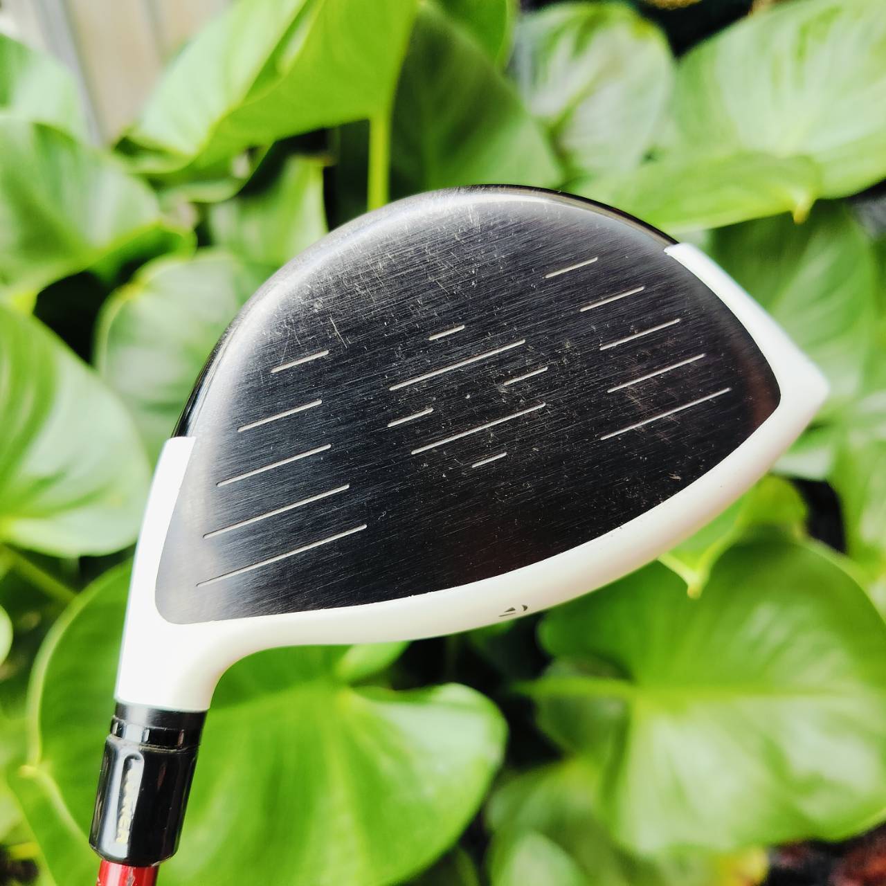 Driver Taylormade R11 องศา 9 ก้าน MATRIX XCON-6.1 FLEX S หัวนี้ตีง่าย ตีไกลมาก รุ่นหน้าดำ ก้านพรีเมี่ยมสุดๆ ตีมันส์ได้เลยค่ะ ไม้กอล์ฟพรีเมี่ยมมือสอง ของแท้ By NakaraLuxurious