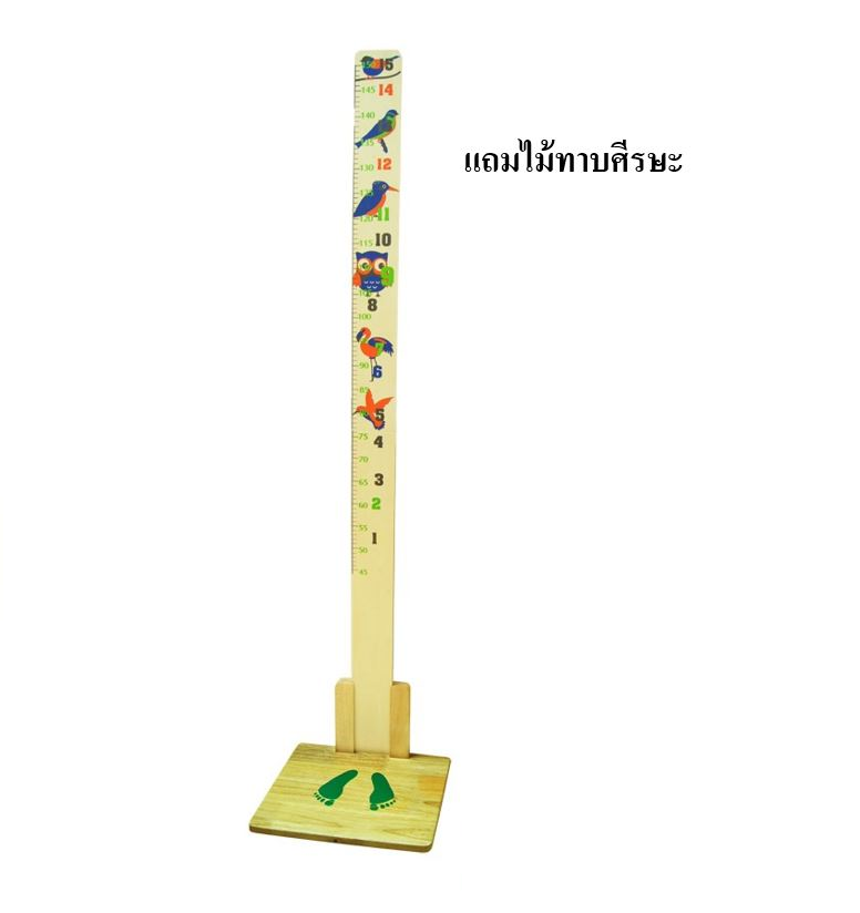 ไม้วัดส่วนสูงเด็กลายสัตว์ปีก ความสูง,วัดส่วนสูง,ไม้วัดส่วนสูงเด็ก , ของใช้โรงเรียน สื่อการสอน