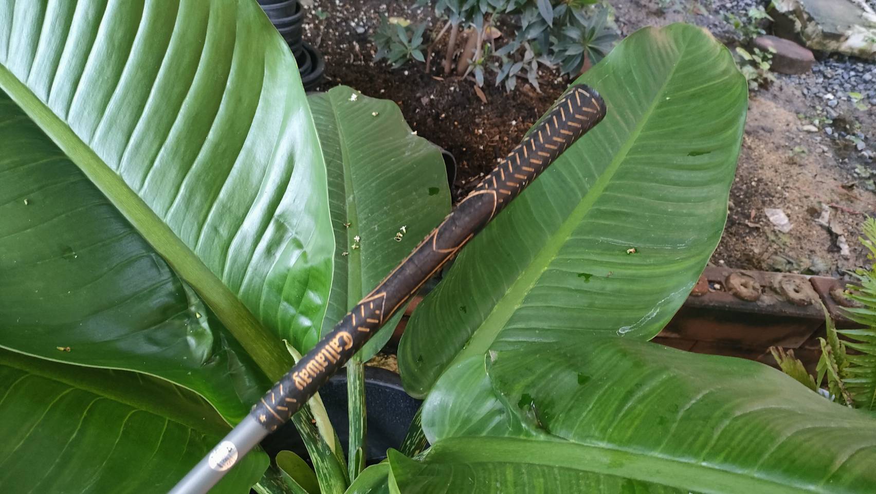 FAIRWAY 4 CALLAWAY BIG BERTHA WAR BIRD