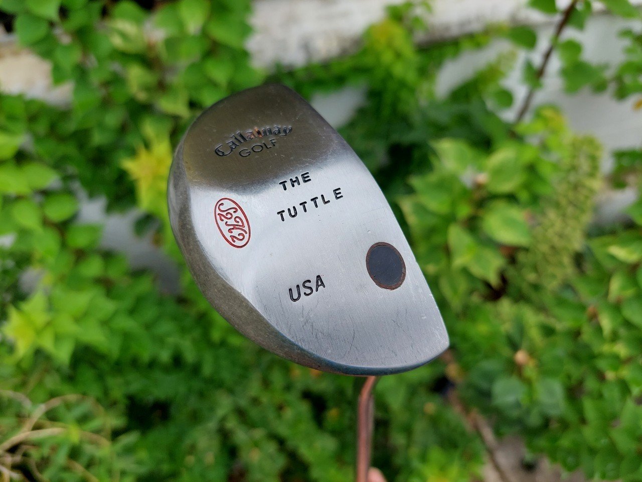PUTTER Callaway หลังเต่า