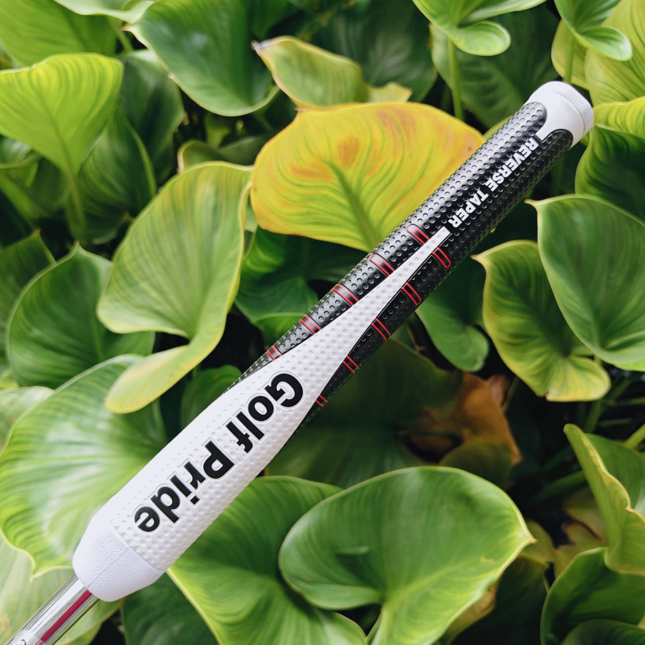 PUTTER ROGER KING RK-X09 ยาว 34 นิ้ว Golf Pride Reverse Taper Putter Grip
