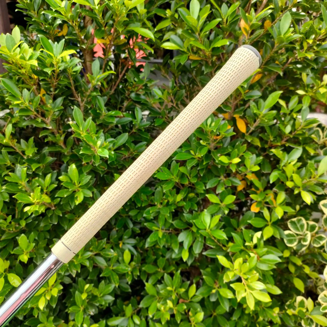 ชุดเหล็ก TAYLORMADE R11 มีเหล็ก 4 - PW สภาพสวยเลยครับ ก้าน N.S.PRO 950GH FLEX R ตีดี ตีง่าย ตีไกลครับ สวยๆนานๆเข้ามา