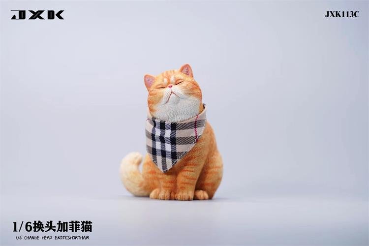 [สั่งจอง]JXK JXK113 1/6 : Change Head Exoticshorthair