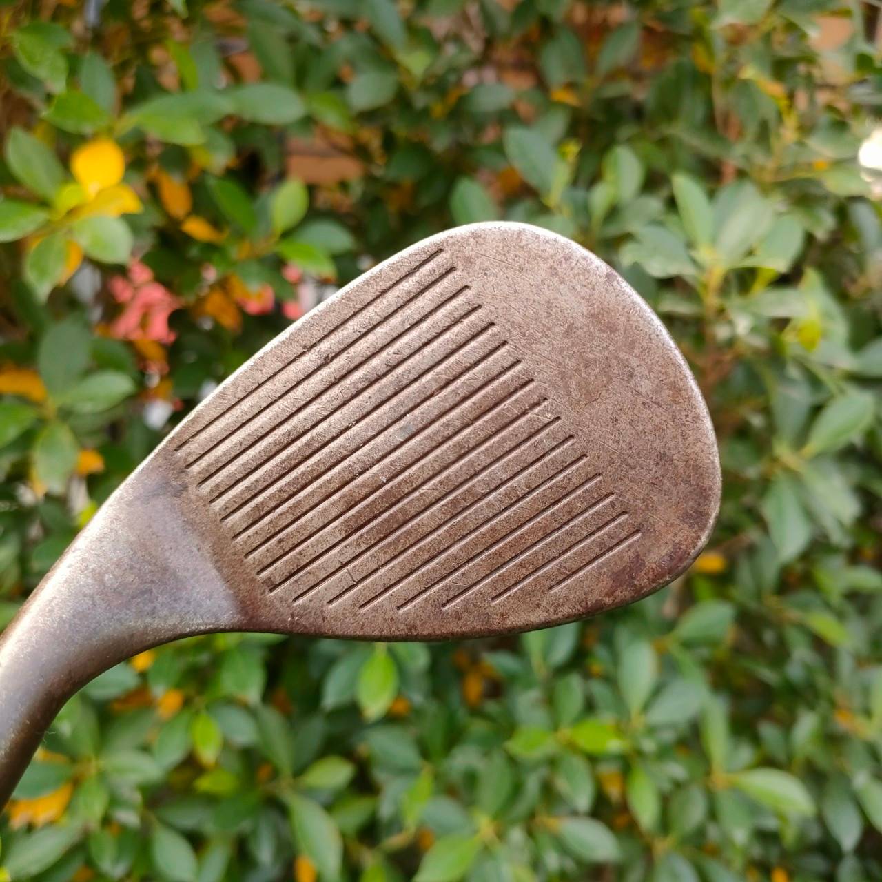 WEDGE CLEVELAND REG.588 องศา 60 FLEX WEDGE OILCAN รุ่นสนิมพิมพ์ใจ รุ่นที่ดีที่สุด ดังที่สุดของ Cleveland