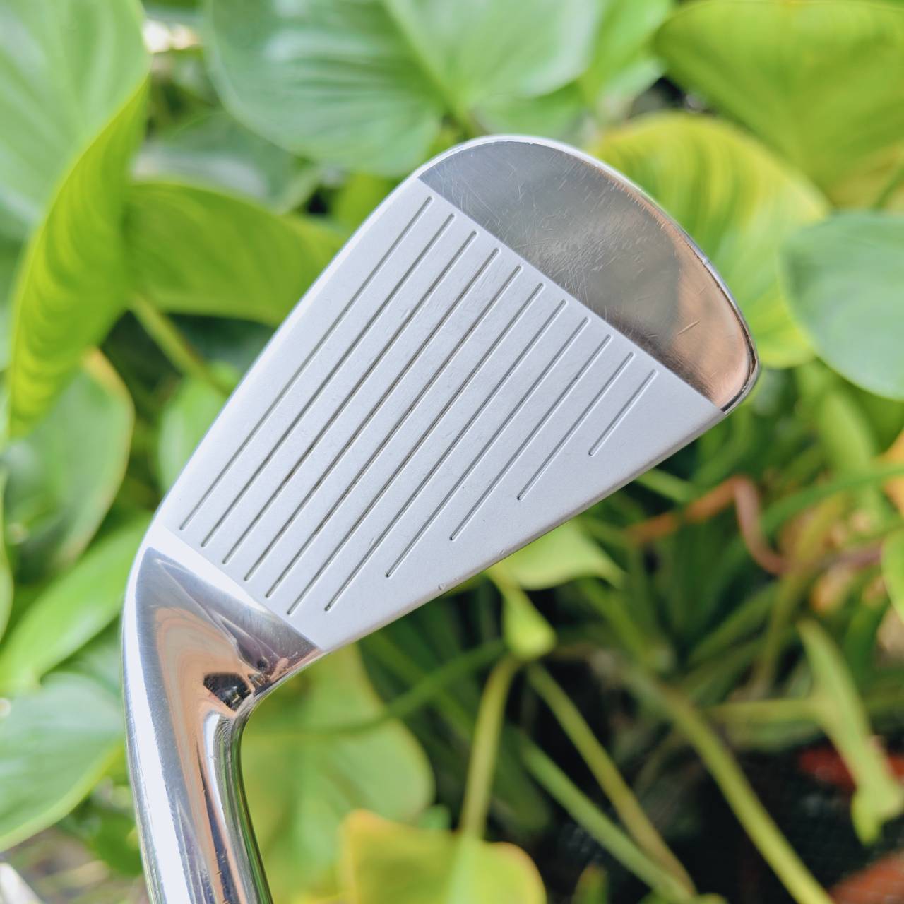 ชุดเหล็ก KING COBRA PRO CB FORGED ชดเชยความผิดพลาดได้ดีมากตามสไตล์ของแบรนด์ Cobra