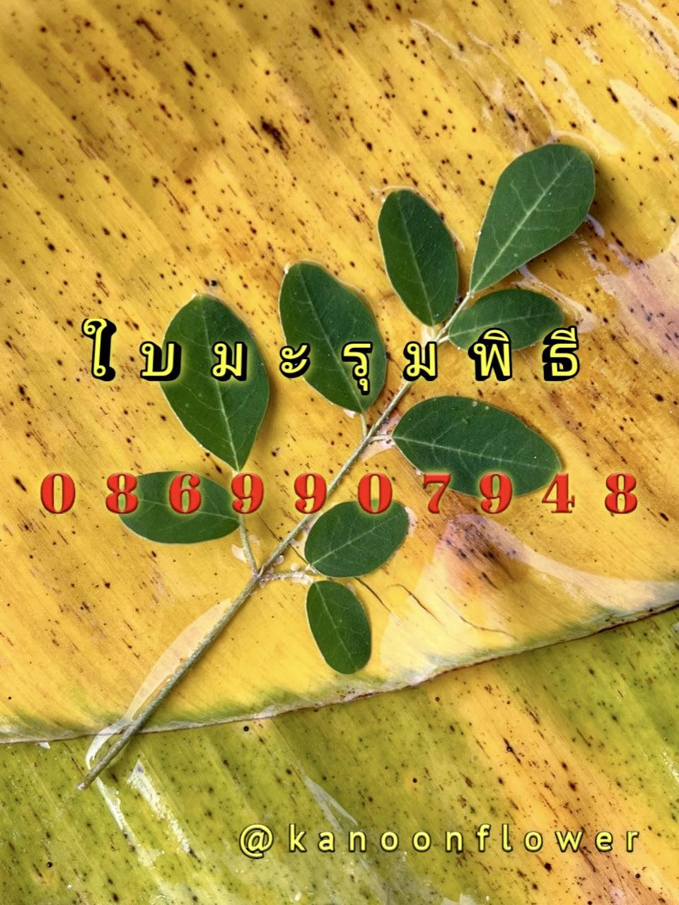 ใบไม้มงคล (พิธี)