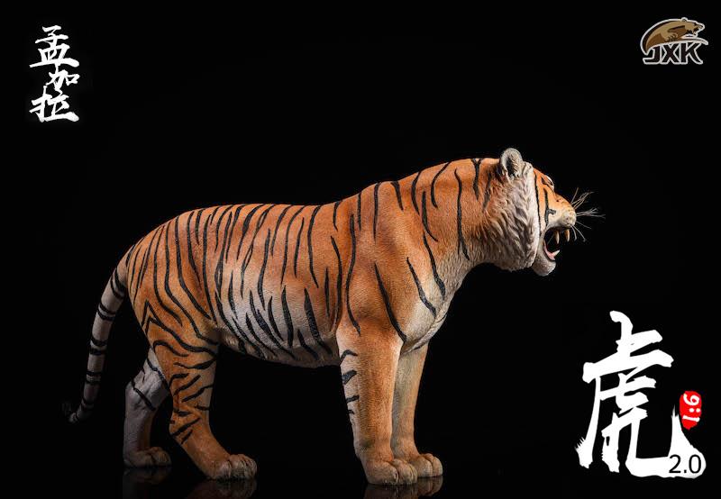 [สั่งจอง]JXK.Studio 1/6 JXK020A yellow Bengal tiger & JXK020B white Bengal tiger