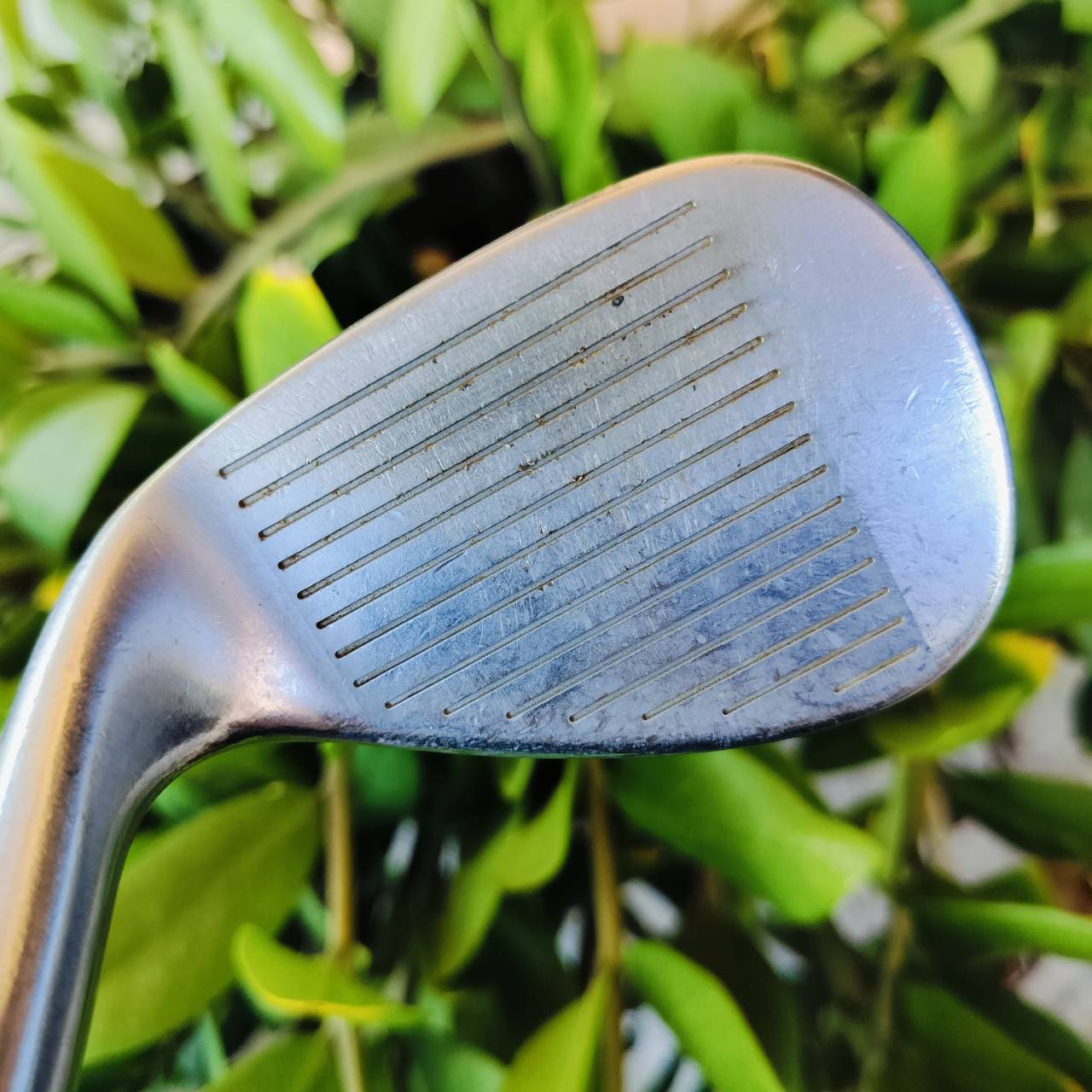 WEDGE CLEVELAND CG10 องศา 46 STANDARD BOUNCE ตีไกลมาก 110 หลา+ เข้าเต็มวง สปินแน่นมากๆ ตกหยุดถอยๆ ไม้กอล์ฟพรีเมี่ยมมือสอง ของแท้ By NakaraLuxurious