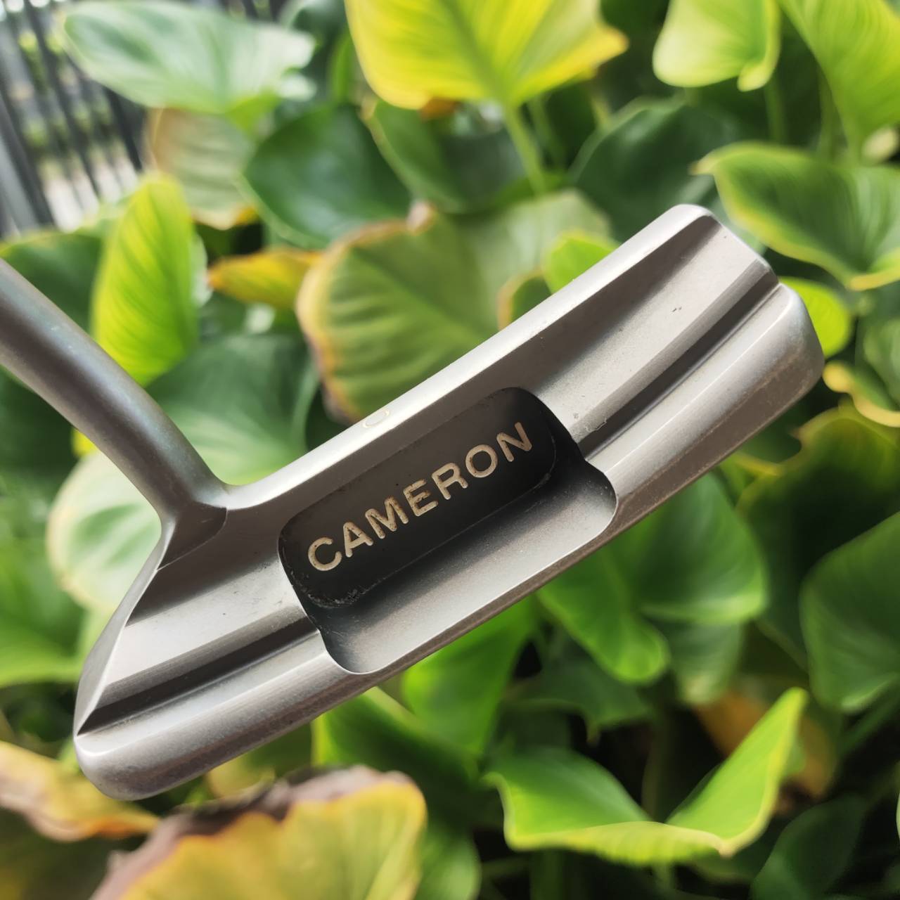 PUTTER Scotty Cameron Circa 62 Model No.2 มี COVER แท้เดิม ( COVER หายากและแพงมาก)