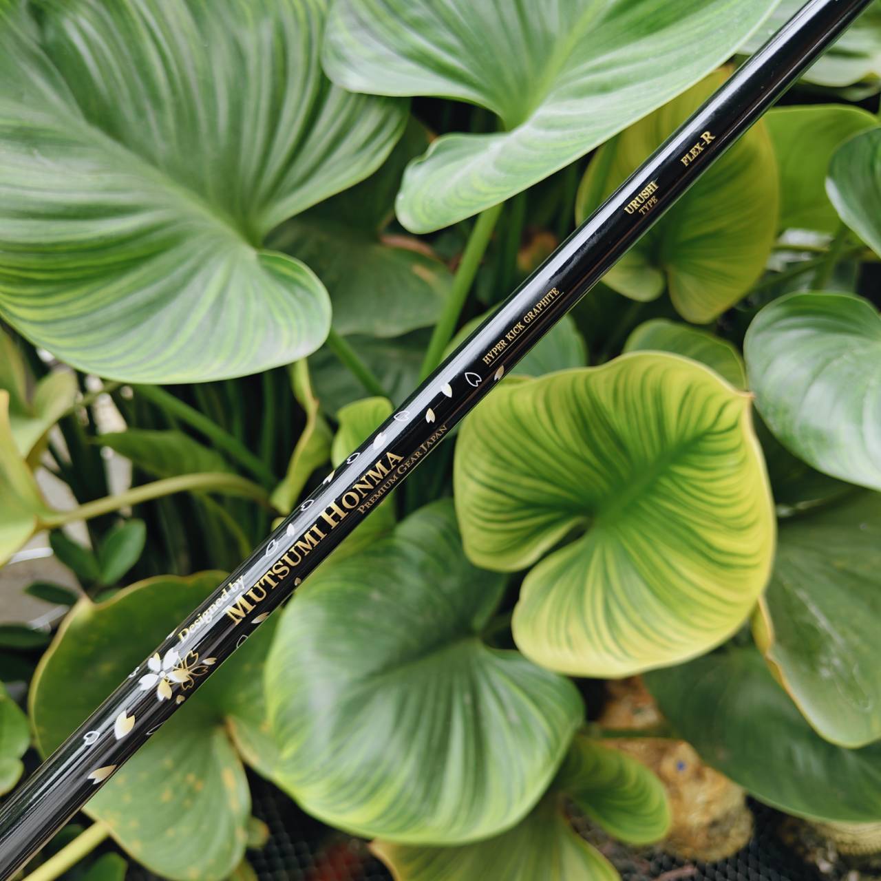 MUTSUMI HONMA PREMIUM MH606 (Iron 4α) – พลังแห่งความนุ่มที่ซ่อนอยู่ในดีไซน์ระดับพรีเมียม