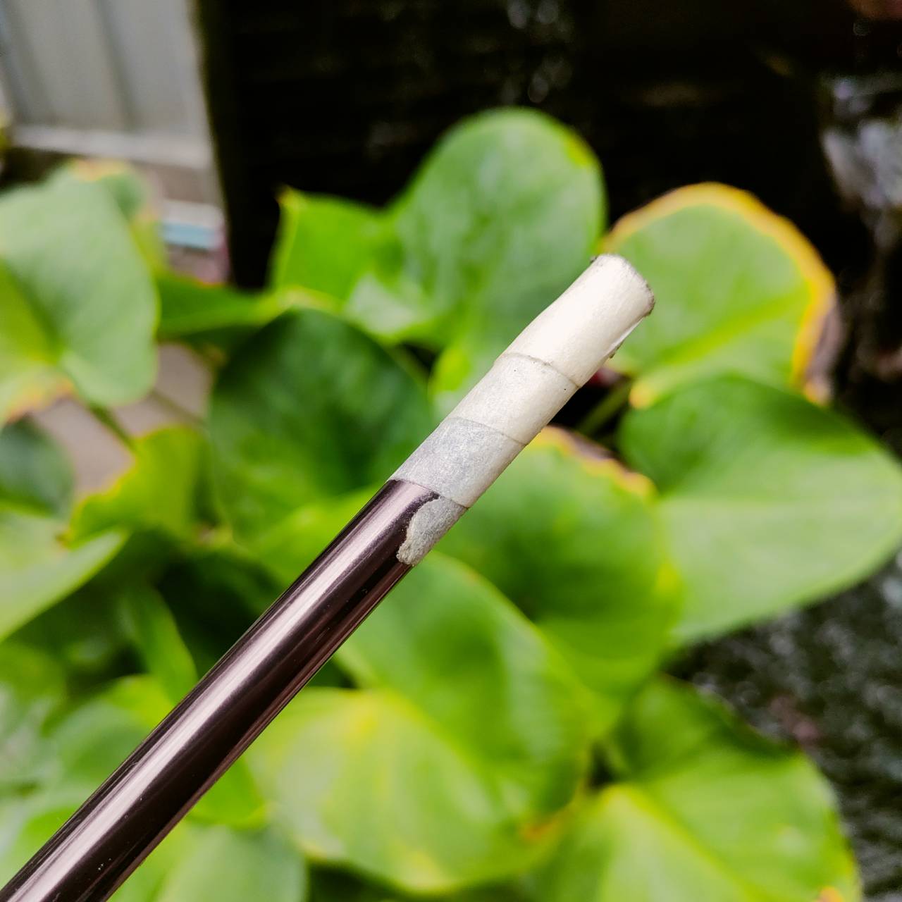 ก้าน MARUMAN MAJESTY FLEX R2 ความยาวก้าน 47 นิ้ว ติดกริพเดิมมาด้วย เป็นก้านพรีเมี่ยม Hi-END ของ MARUMAN ตีดีมากๆ เป็นสไตล์ก้านอ่อนนุ่มและเบาจัดๆ ก้านไม้กอล์ฟพรีเมี่ยมมือสอง ของแท้ By NakaraLuxurious