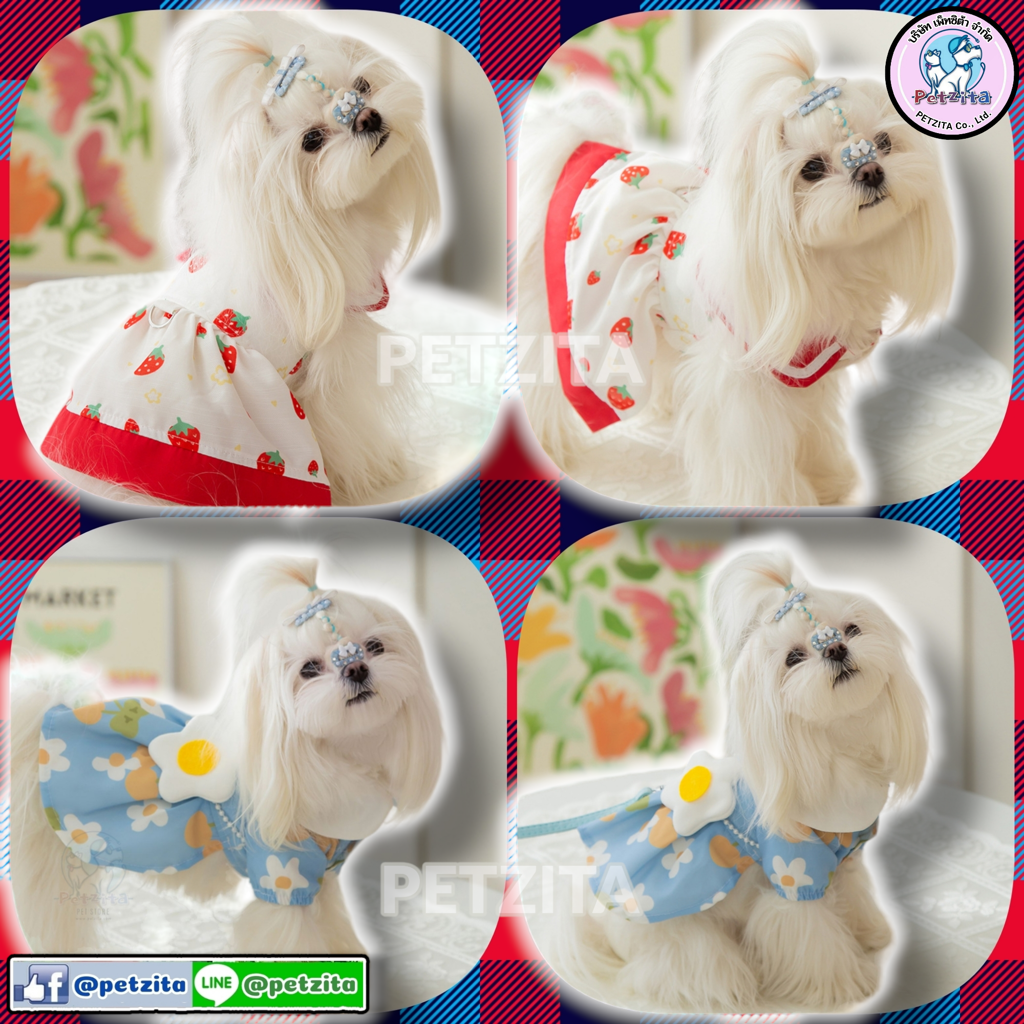 🇹🇭พร้อมส่ง🇹🇭 💮🍓 เดรสคุณหนูสุดน่ารัก งานแบรนด์ for pet เสื้อสุนัข ชุดหมา ชุดแมว สำเนา