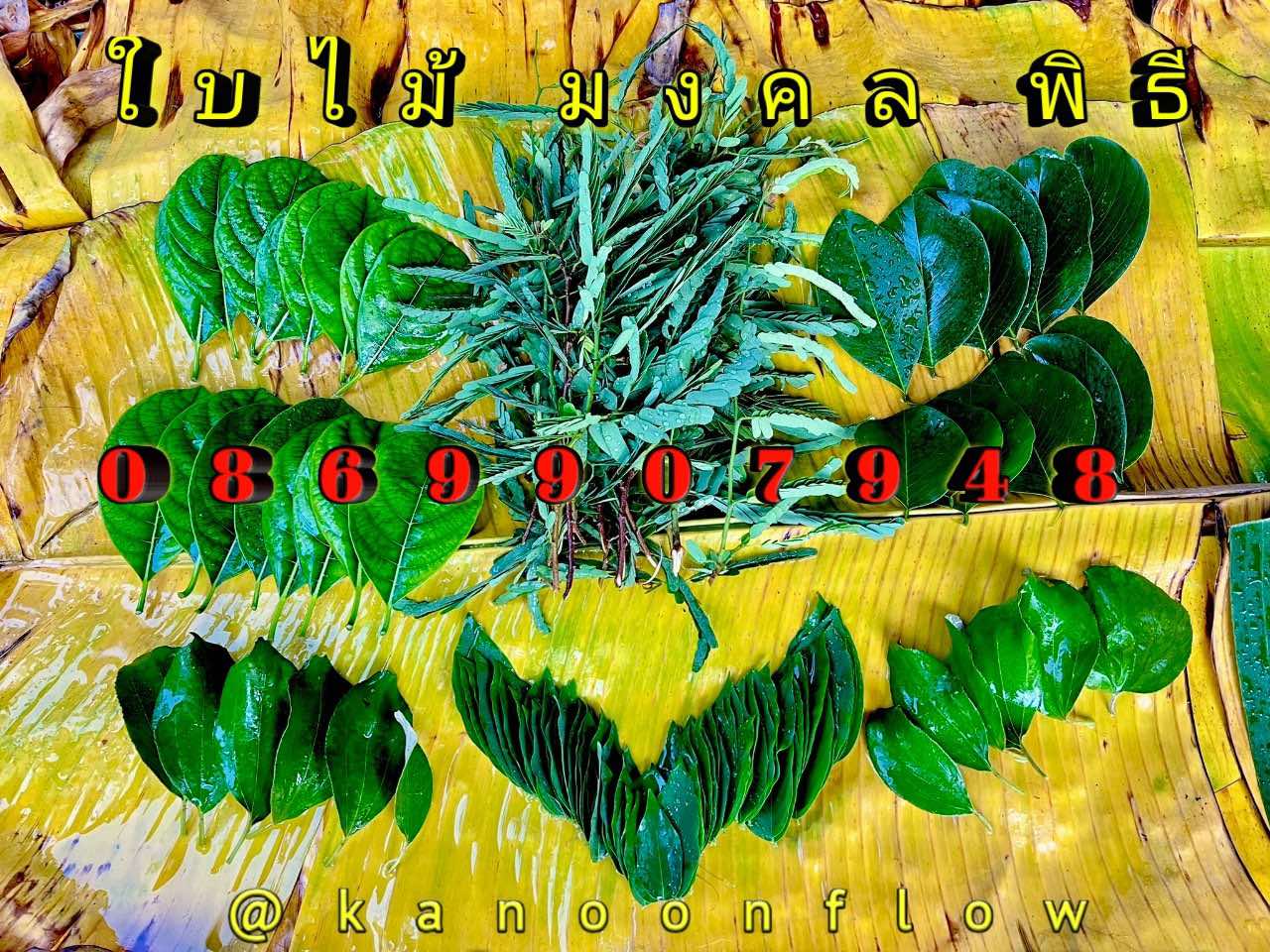 ใบไม้มงคล (พิธี)