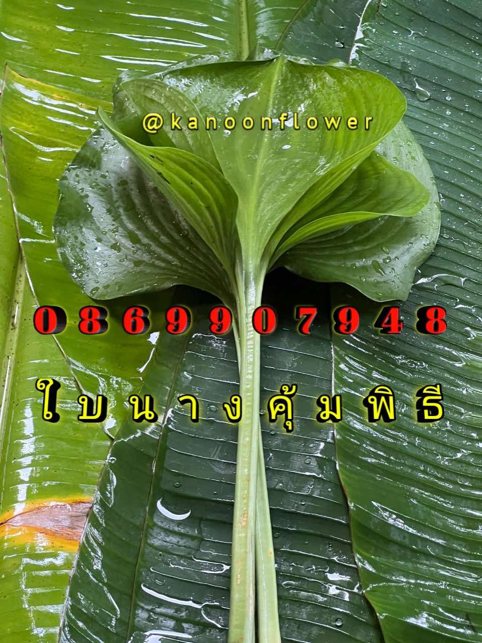 ใบไม้มงคล (พิธี)