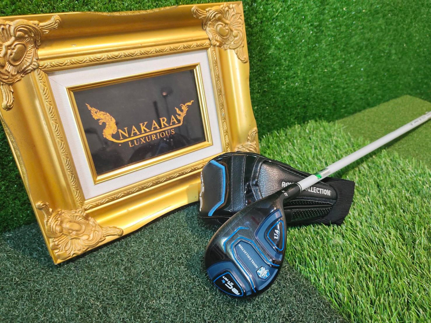 UT 4 Royal Collection