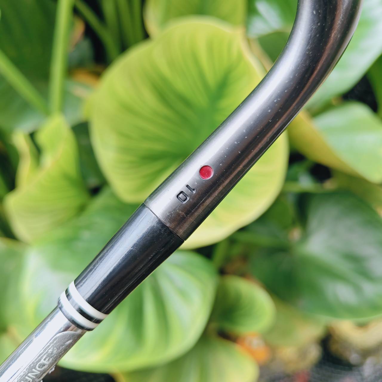 WEDGE CG12 ZIP GROOVE 56° BOUNCE 10 – ช็อตรอบกรีนแม่นยำ เหมาะระเบิดทราย!