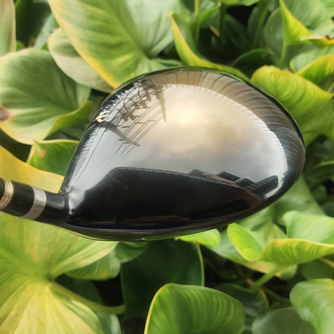 Driver HONMA S-06 รุ่น C+ และก้านระดับ 3 ดาว FLEX R หายากมากๆๆๆๆ ไม้ระดับเทพเจ้า