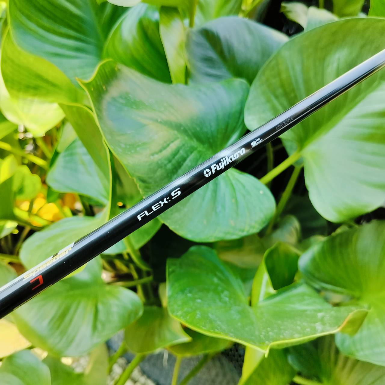 Driver Taylormade M6 องศา 10.5 มี COVER แท้เดิม กริพ IOMIC JAPAN ก้าน FUJIKURA SPEEDER569 EVOLUTION IV FLEX S .ออกแบบหน้าไม้พิเศษสุด ไม้กอล์ฟพรีเมี่ยมมือสอง ของแท้ By NakaraLuxurious