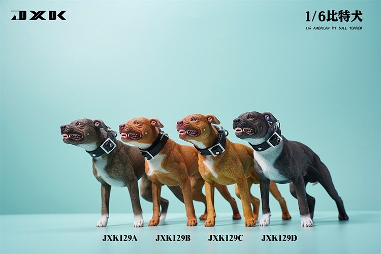 [สั่งจอง]JXK JXK129 1/6 : Pitbull