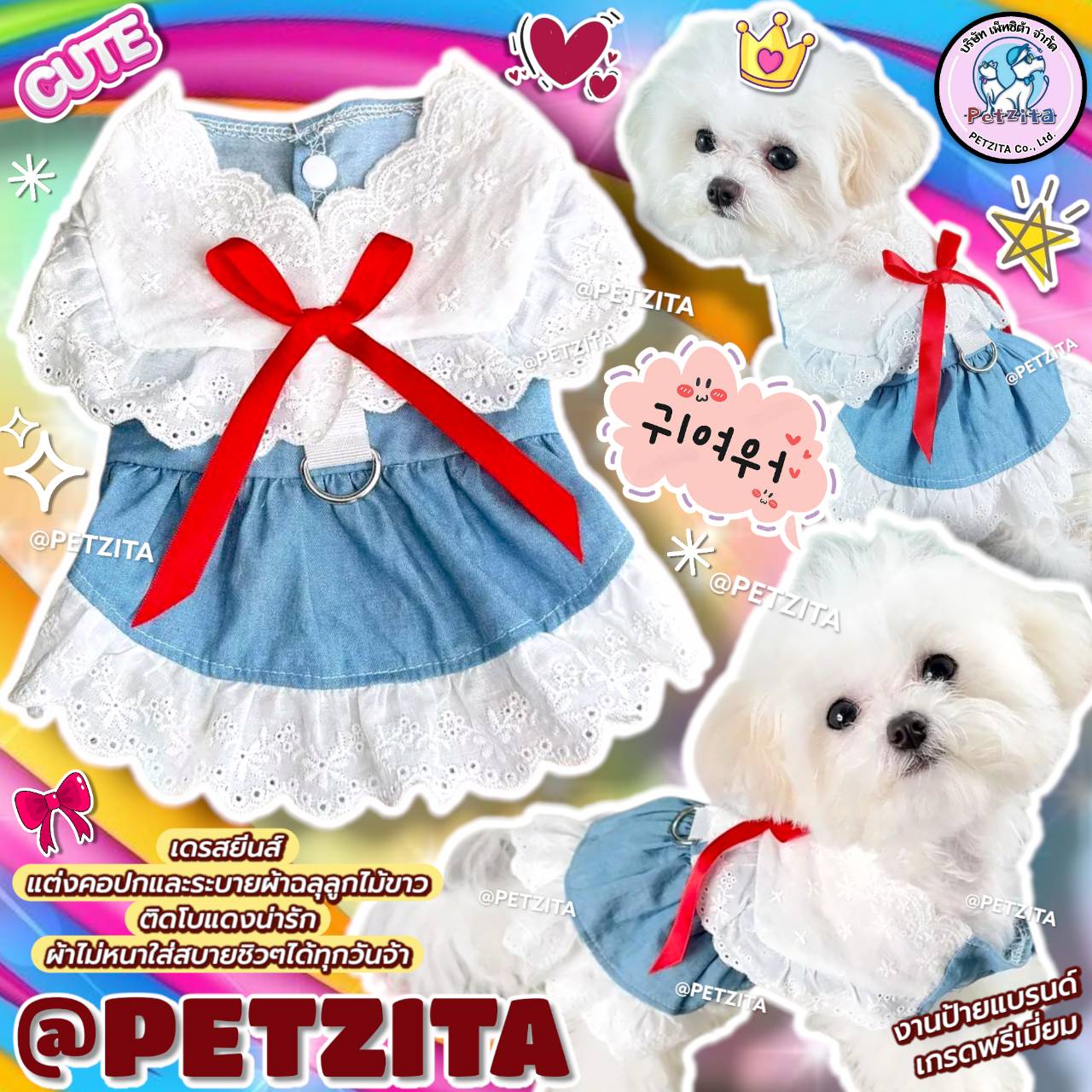 🇹🇭พร้อมส่ง🇹🇭 🥰👗เดรสสัตว์เลี้ยง สุดน่ารัก แต่งคอปกขาว for pet สุนัข หมา แมว