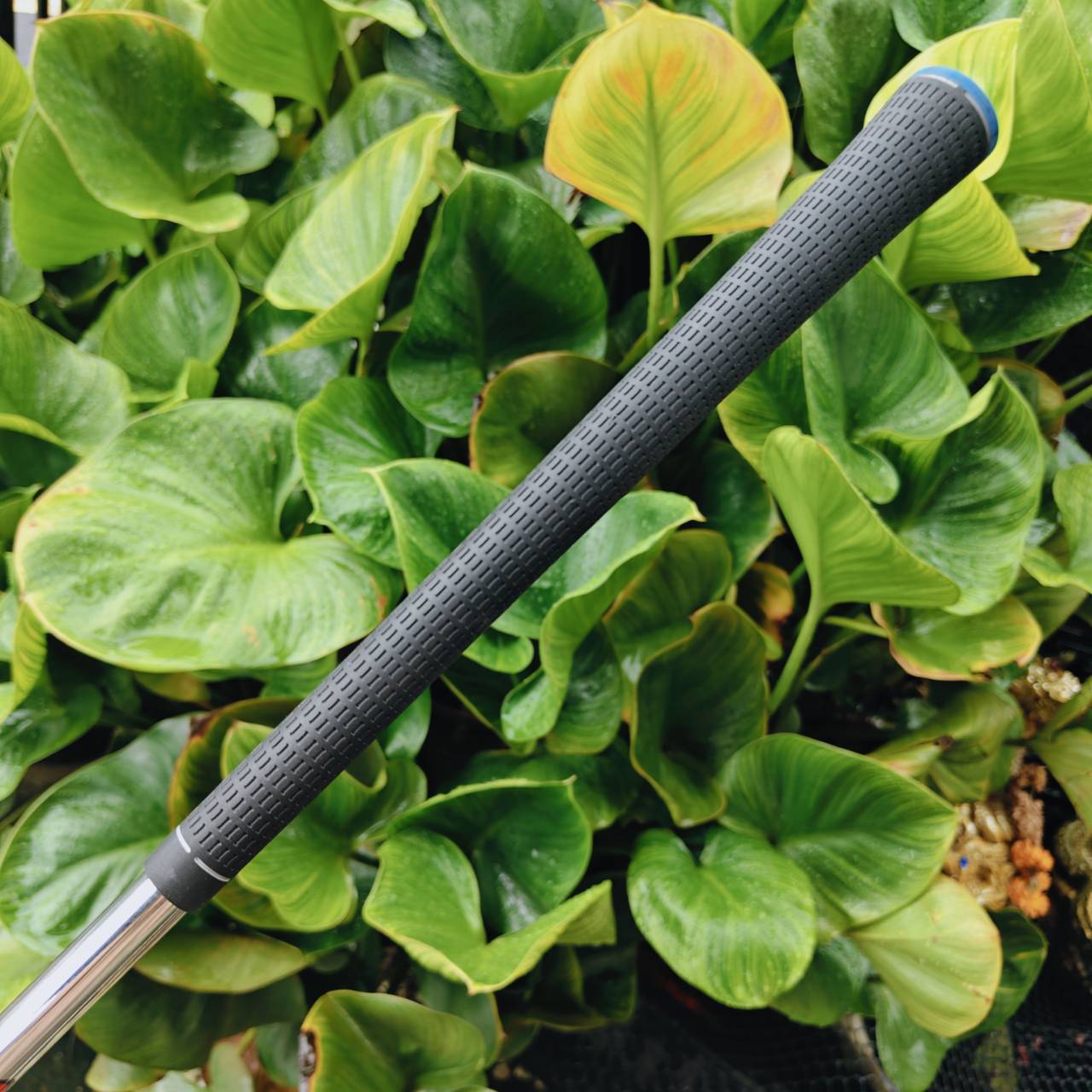 เหล็ก 8 Taylormade SPEEDBLADE ออกแบบเพื่อ ความเร็วบอลสูง และ การเล่นง่าย สำหรับทุกระดับ