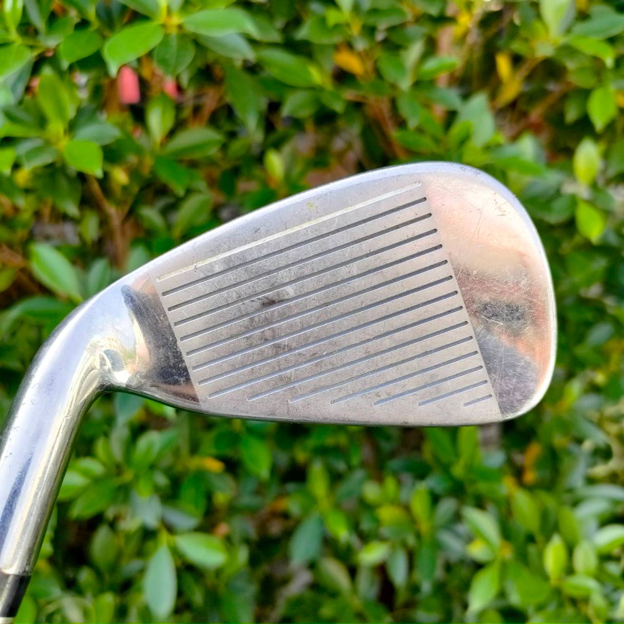 **ไม้กอล์ฟสำหรับผู้หญิง** เหล็ก 7 LAROUGE ก้าน LAROUGE FLEX L ตีง่าย ก้านเบา ก้านนุ่ม