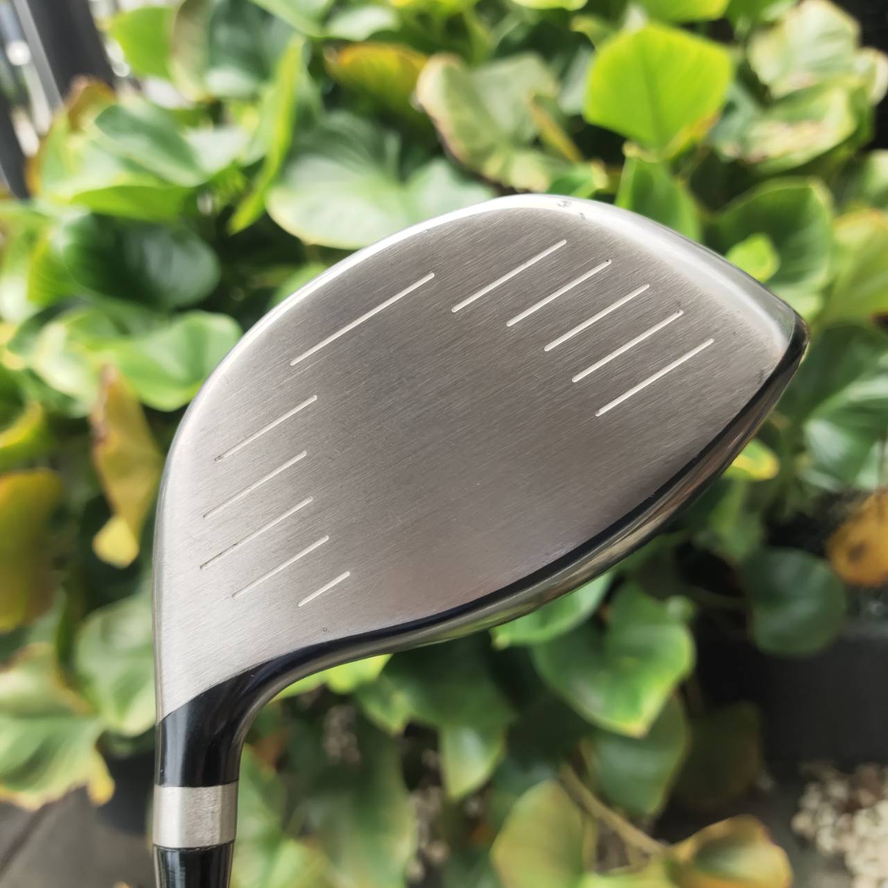 Driver PING G2 ตีดีมาก ตีง่าย ตีไกลแน่นอน!!! ก้าน GRAPHITE DESIGND PERSHING 45R