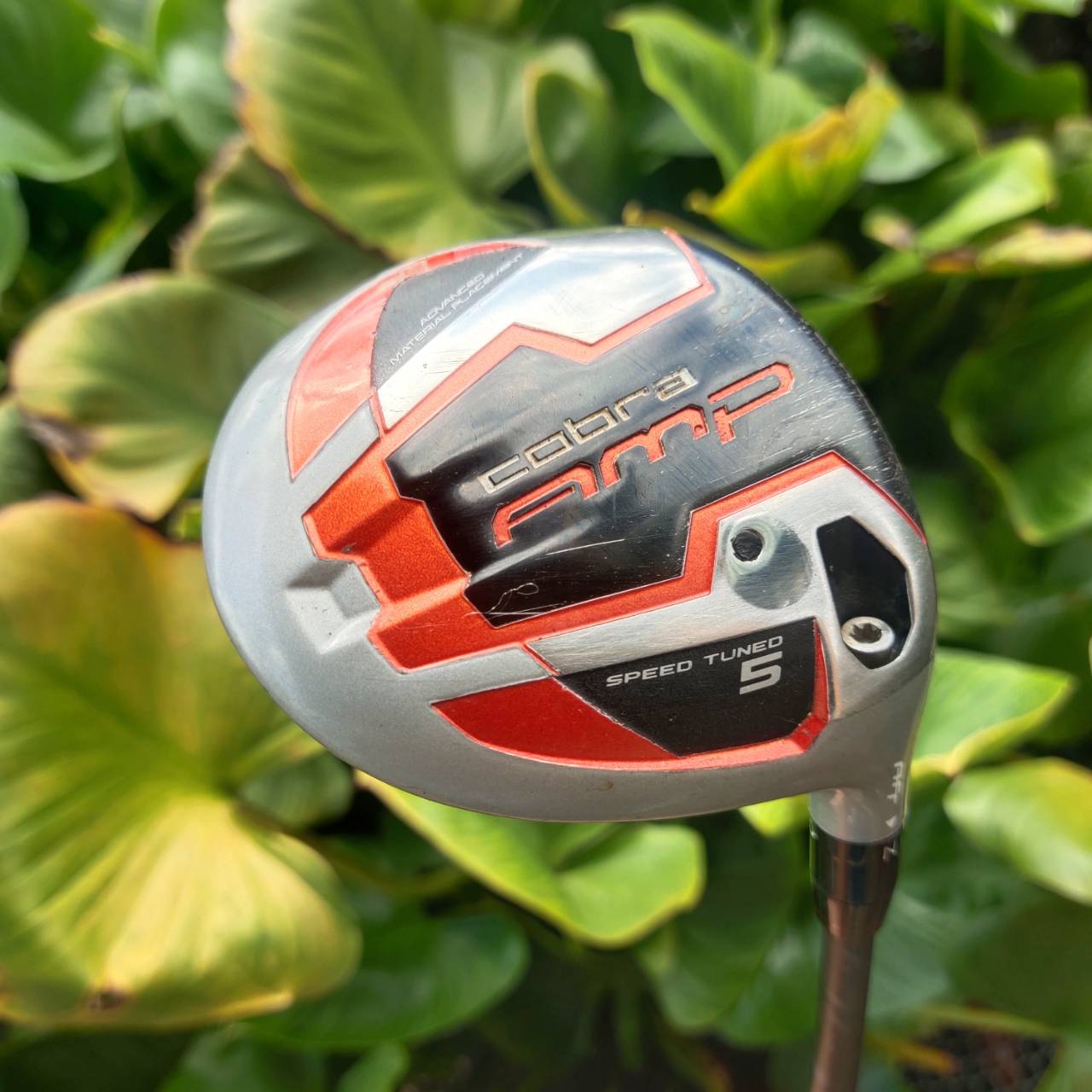 5W COBRA AMP | หน้า DUAL ROLL ช่วยให้ตีแล้ว launch ดี ลูกไม่หนีแม้ไม่โดนกลาง