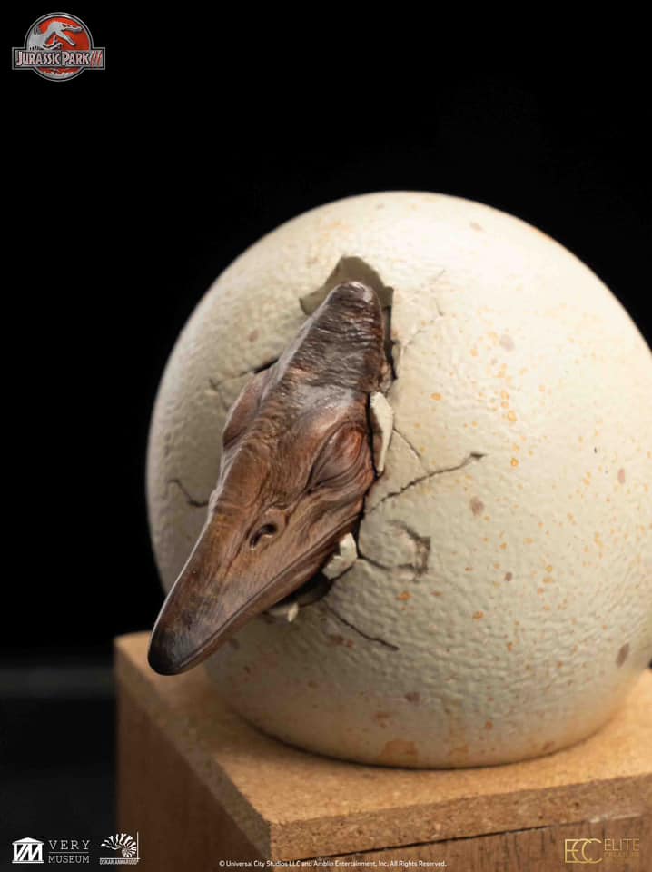 [สั่งจอง]ECC : Hatchling Pterosaur (Jurassic Park)