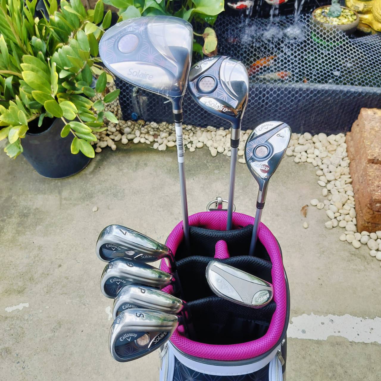 * ไม้กอล์ฟผู้หญิง * ชุดกอล์ฟ Callaway Solaire สภาพสวยนางฟ้า 95% ได้ค่ะ Driver และอีกหลายไม้ยังไม่แกะ ราคาติดอยู่ 33,500 บาท ไม้กอล์ฟพรีเมี่ยมมือสอง ของแท้ By NakaraLuxurious