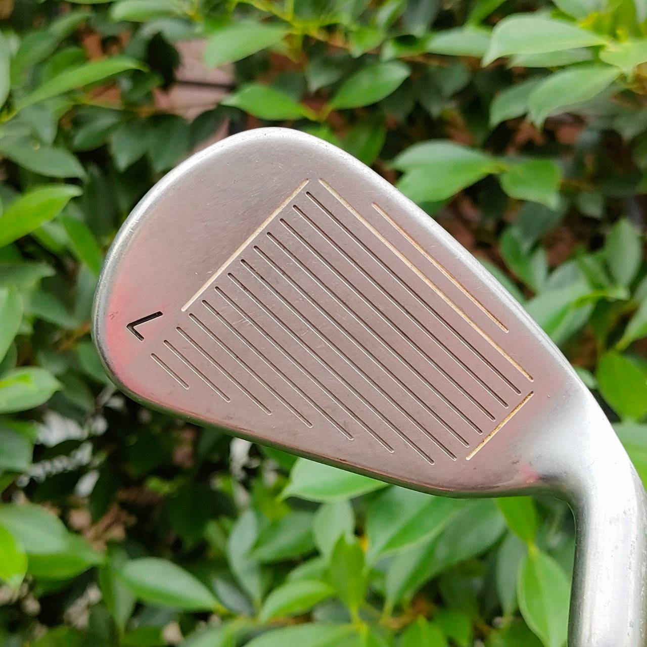 ** ไม้กอล์ฟสำหรับท่านที่ถนัดซ้าย ** ชุดเหล็ก CALLAWAY STEELHEAD X-16 มีเหล็ก 4-9 เเละ PW