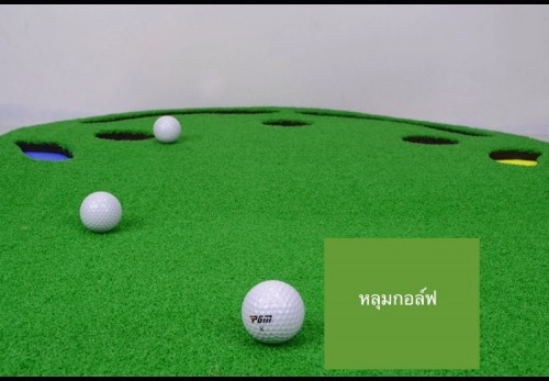 กรีนหญ้าเทียมซ้อมพัตต์ PLAYEAGLE FG020