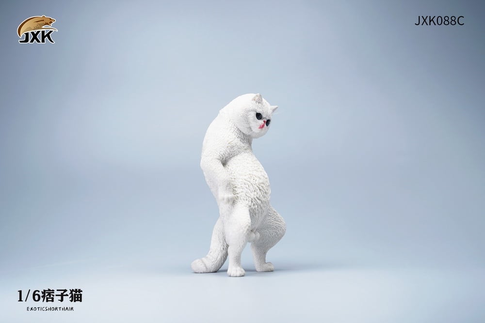 [สั่งจอง]JXK JXK088 1/6 : Exoticshorthair