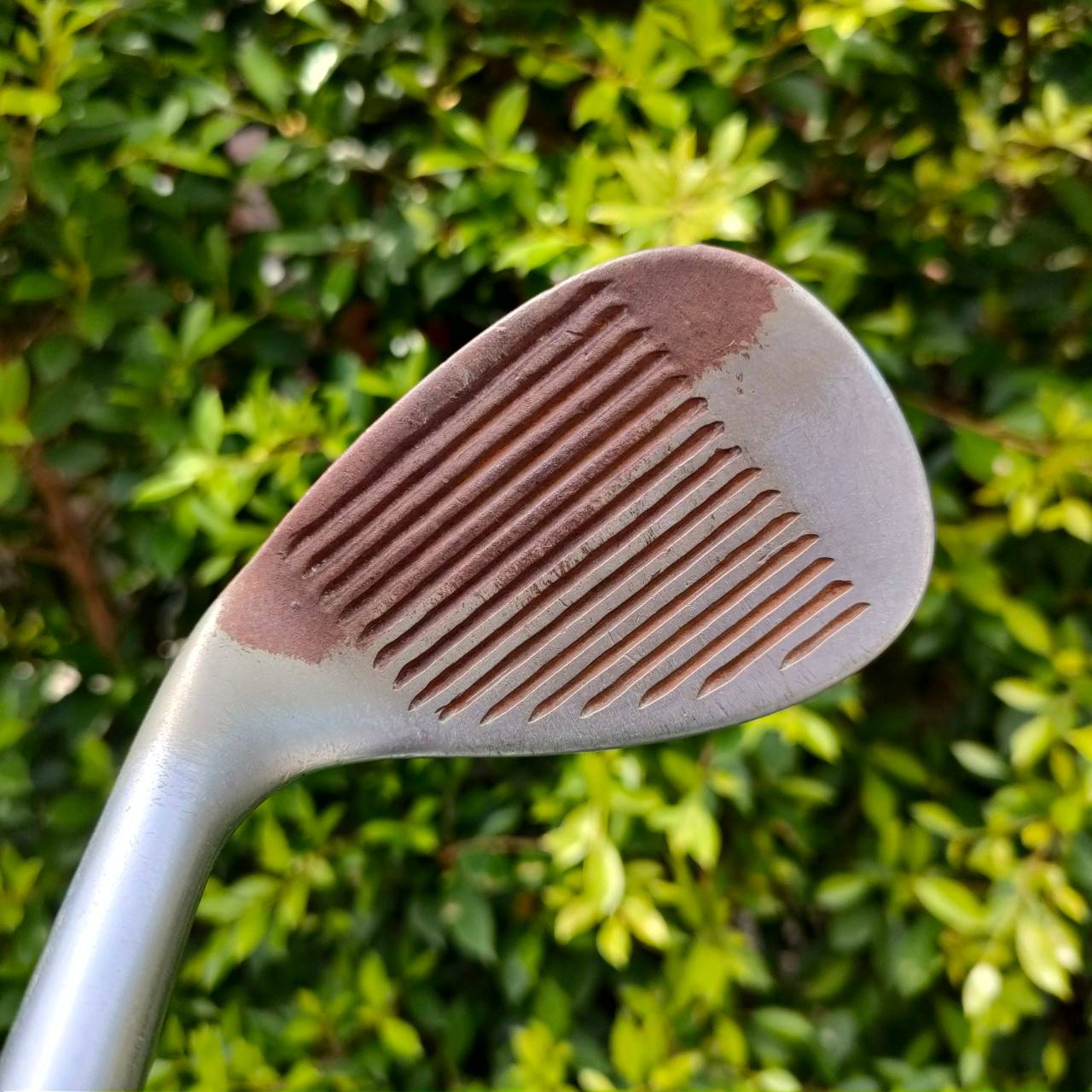 WEDGE CLEVELAND CG10 CMM องศา 60 ก้าน TRUE TEMPER FLEX WEDGE 1 จุด LOW BOUNCE คมๆครับ