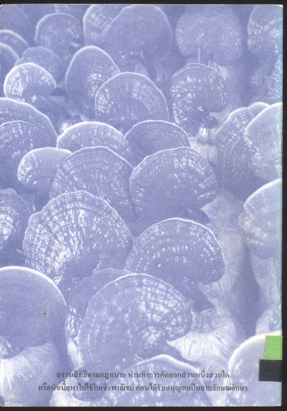 ราชาสมุนไพรหลินจือ คู่มือการรับประทานและสรรพคุณ