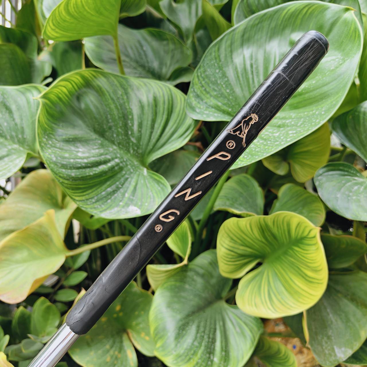 PUTTER PING PAL 4 BECU *แพงมาก หายาก* ยาว 35 นิ้ว เป็น Beryllium copper แท้ๆ