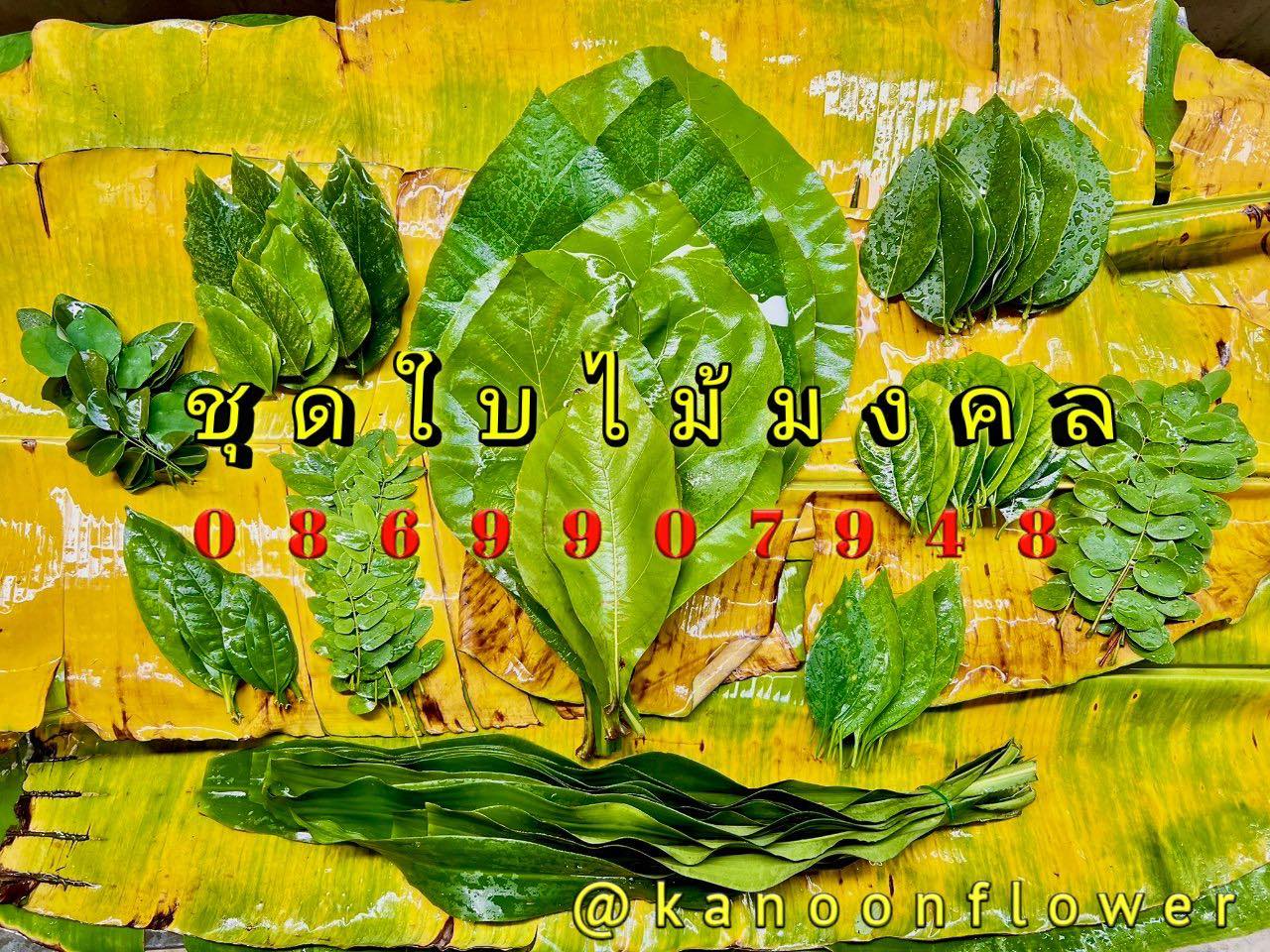 ใบไม้มงคล (พิธี)