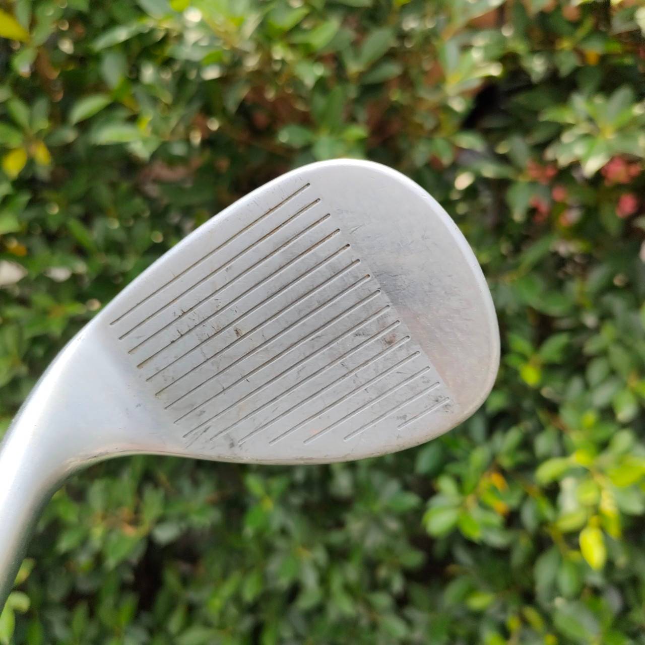 WEDGE CLEVELAND CG10 CMM องศา 50 ก้าน DYNAMIC GOLD FLEX WEDGE ร่องคมเฉียบ สองจุด Standard Bounce