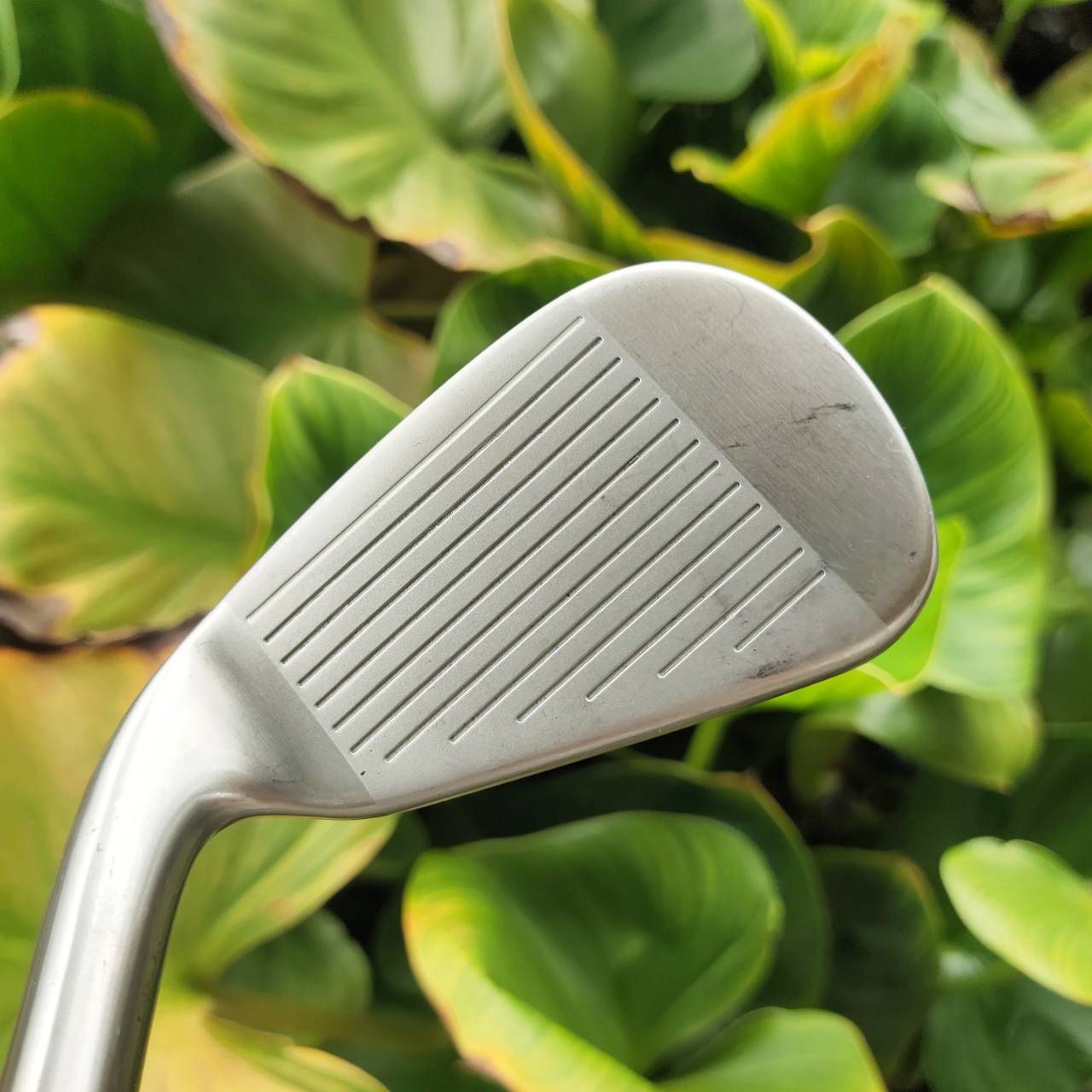 เหล็ก 7 เด็ก TAYLORMADE BURNER ก้าน SUPERFAST สำหรับน้องๆ นักกอล์ฟรุ่นจิ๋วที่อยากพัฒนาฝีมือ!