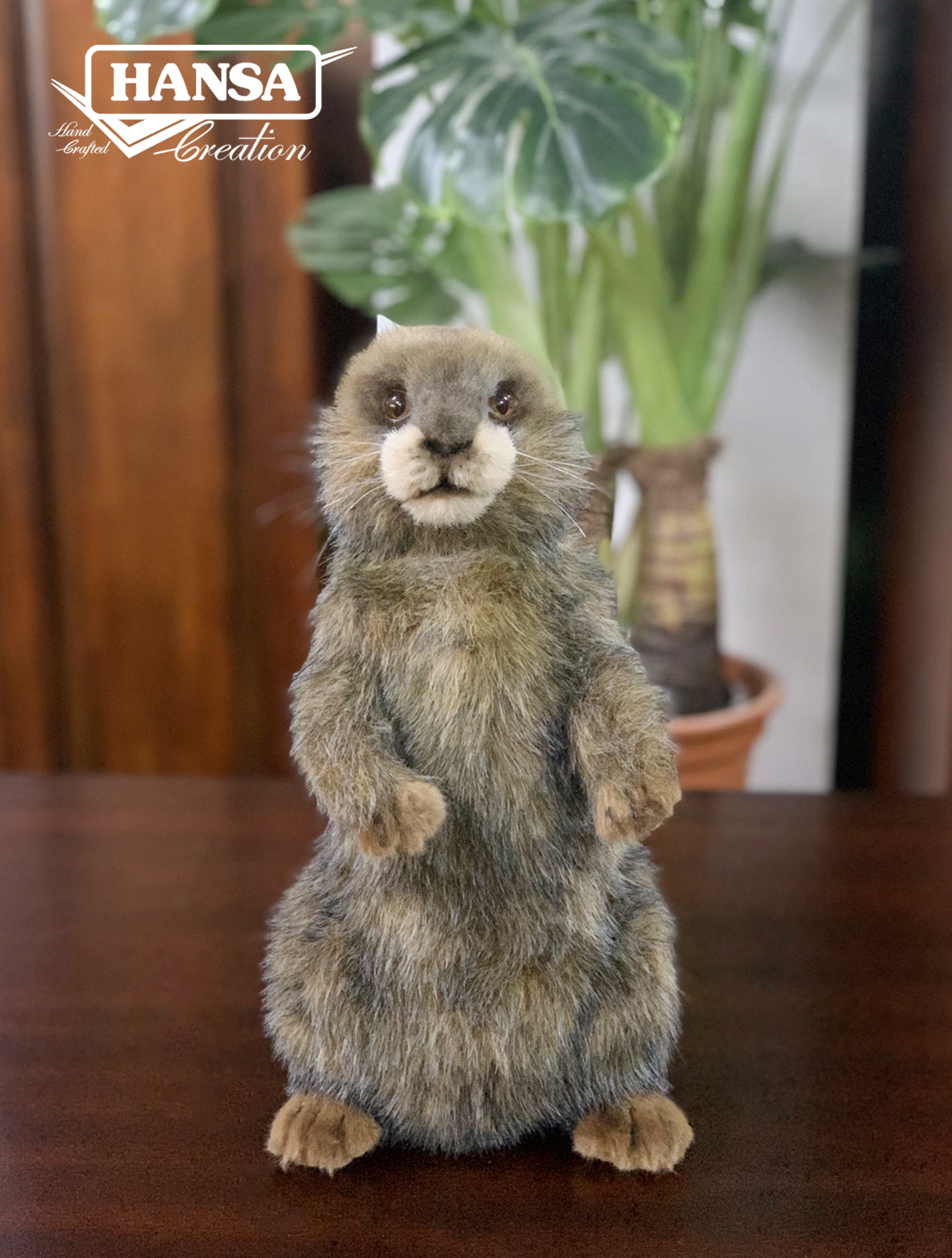 8101 Alpine Marmot 29cm.H