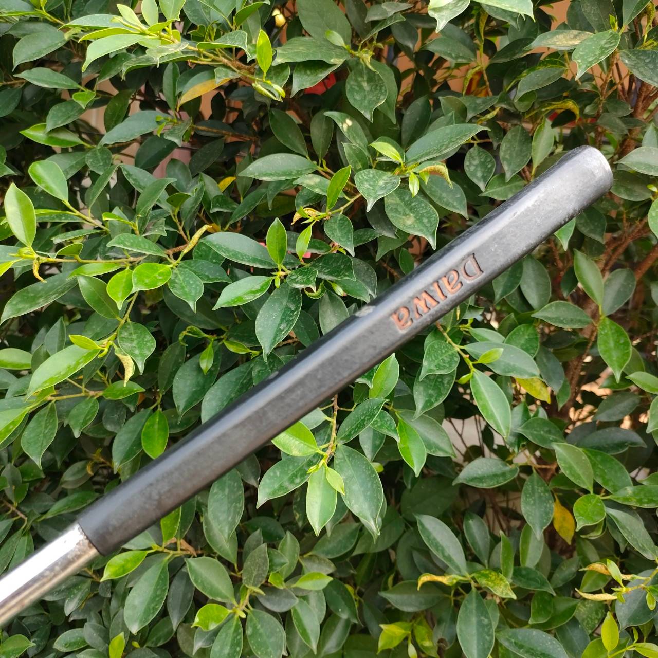 PUTTER DAIWA PROBALANCE7701 ความยาว 34 นิ้ว ก้าน PROBALANCE ทรงคลาสสิค แต่เพิ่มความนิ่ง