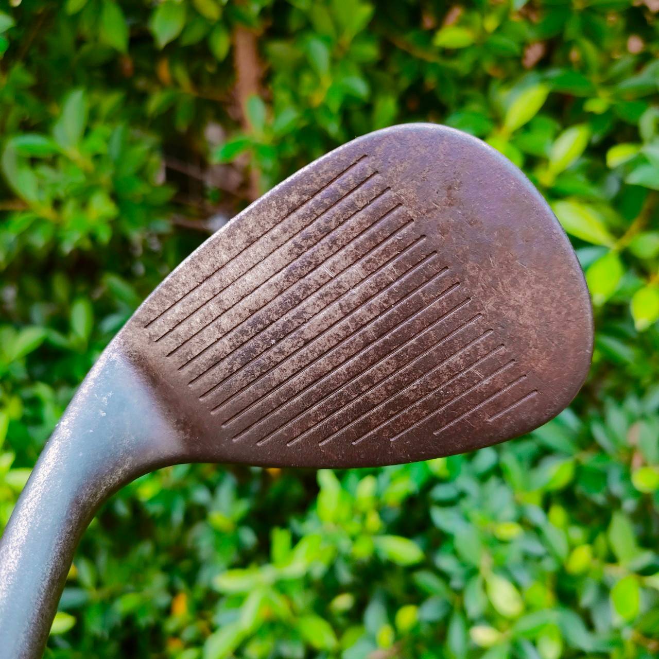 WEDGE TITLEIST VOKEY DESIGN องศา 56 เบาท์ 12 ก้าน DYNAMIC GOLD สุดยอด MILLED STEEL 8620 สุดยอดของสุดยอด WEDGE สนิม เนื้อเหล็ก FORGED แท้ๆไม่เคลือบ!! ไม้กอล์ฟมือสอง ของแท้ BY NakaraLuxurious
