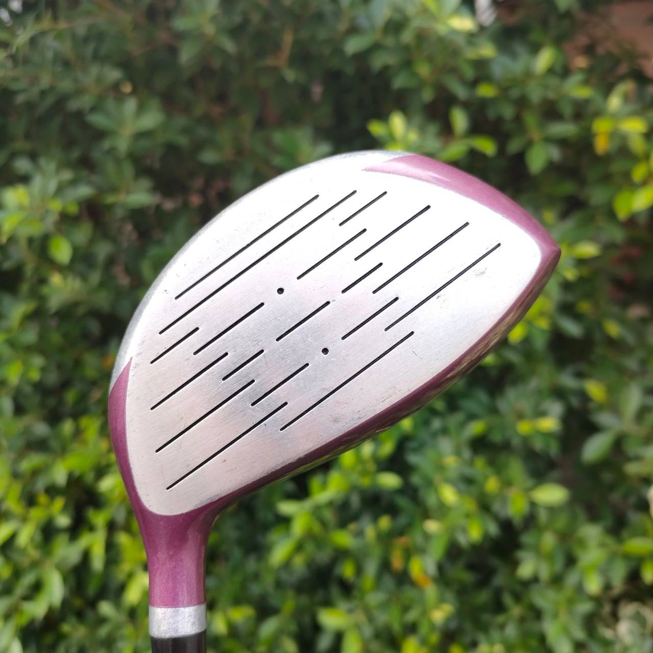 **ไม้กอล์ฟสำหรับผู้หญิง** DRIVER GOSEN JAPAN WINTEX SS-2105 องศา 12 ก้าน GOSEN NEW SUPER POWER TITANIUM FLEX L ไม้กอล์ฟมือสอง ของแท้ BY NakaraLuxurious