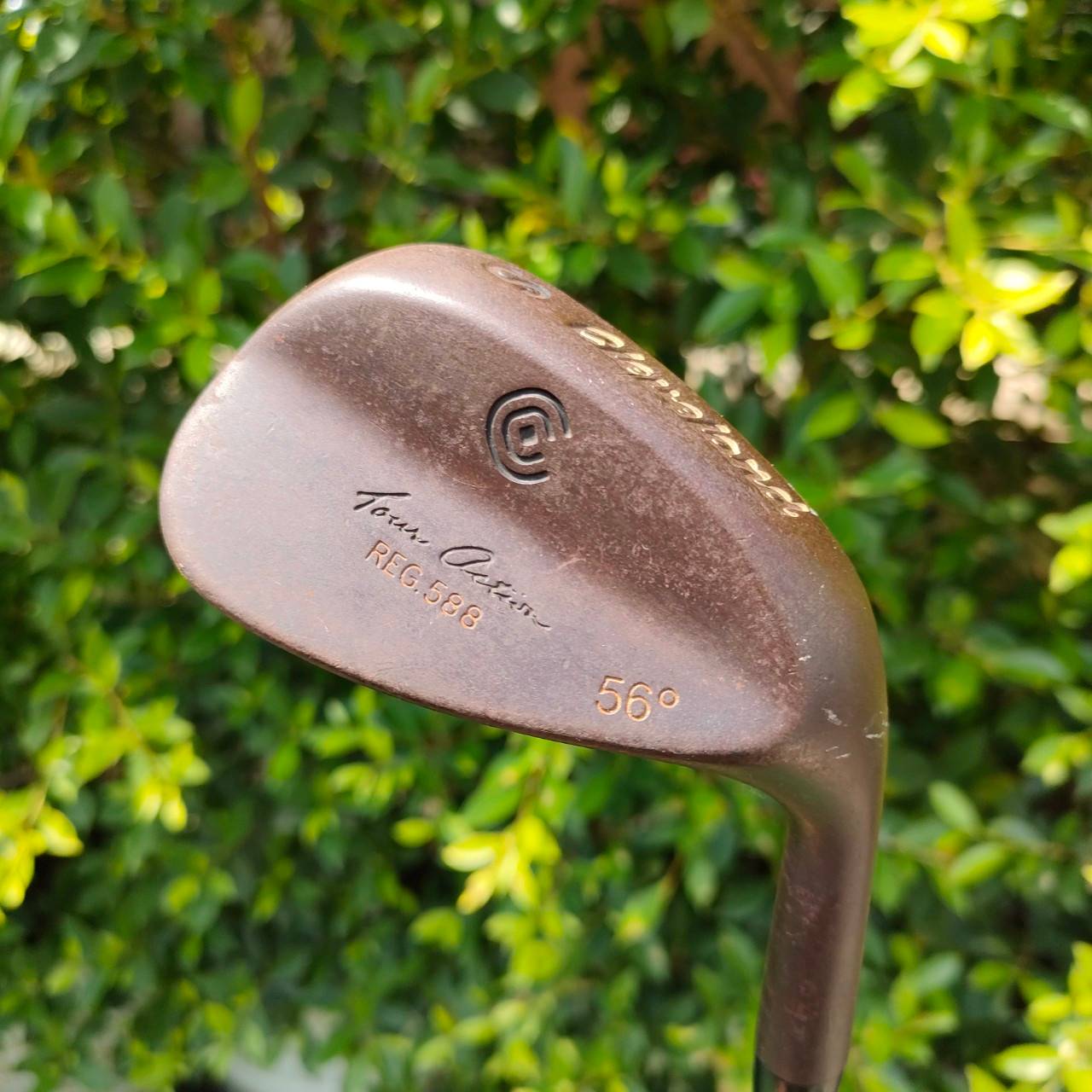 WEDGE CLEVELAND REG 588 องศา 56 ก้าน DYNAMIC GOLD FLEX WEDGE