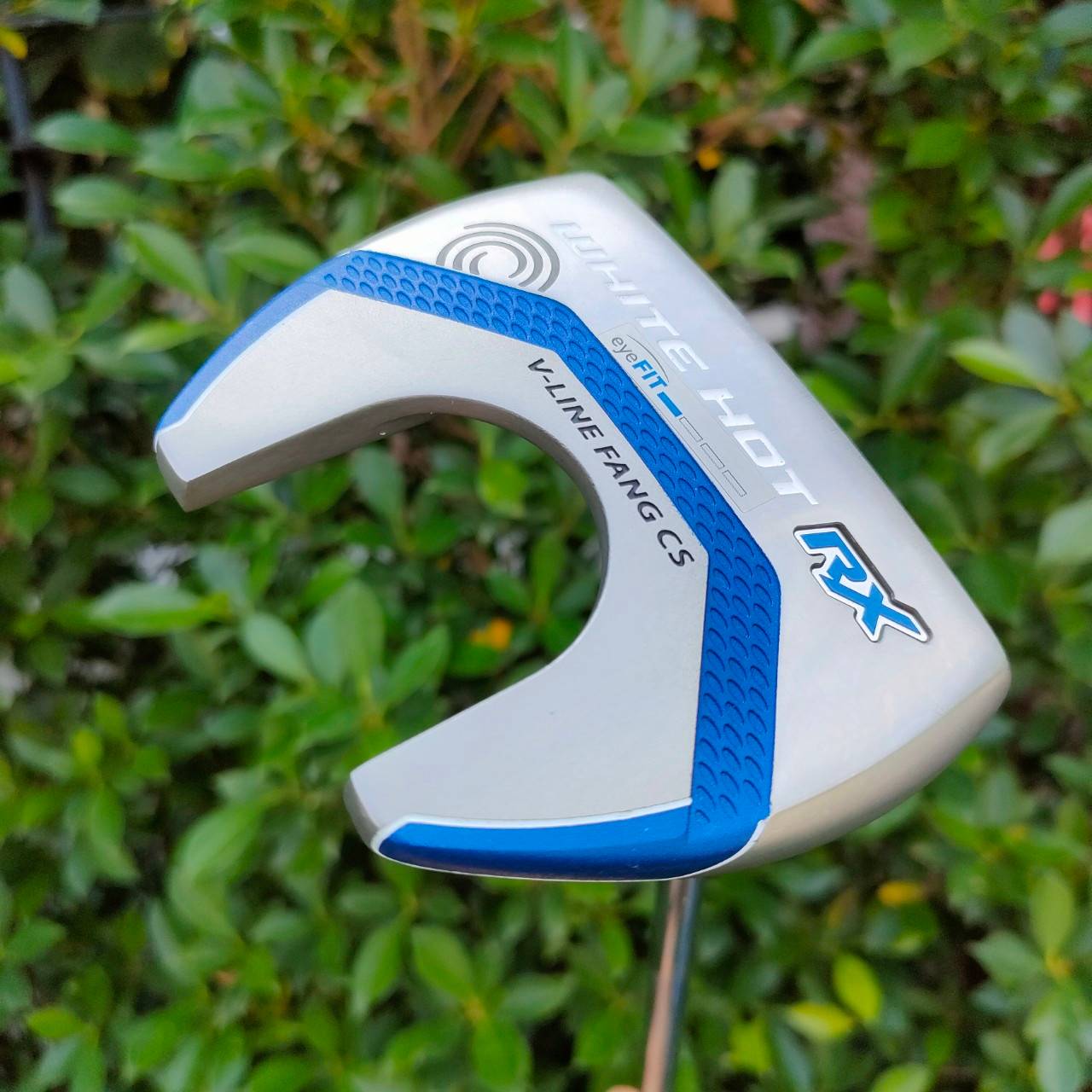 PUTTER ODYSSEY WHITE HOT RX V-LINE FANG CS ก้าน ODYSSEY PUTTER IN GOLF ความยาว 34 นิ้ว