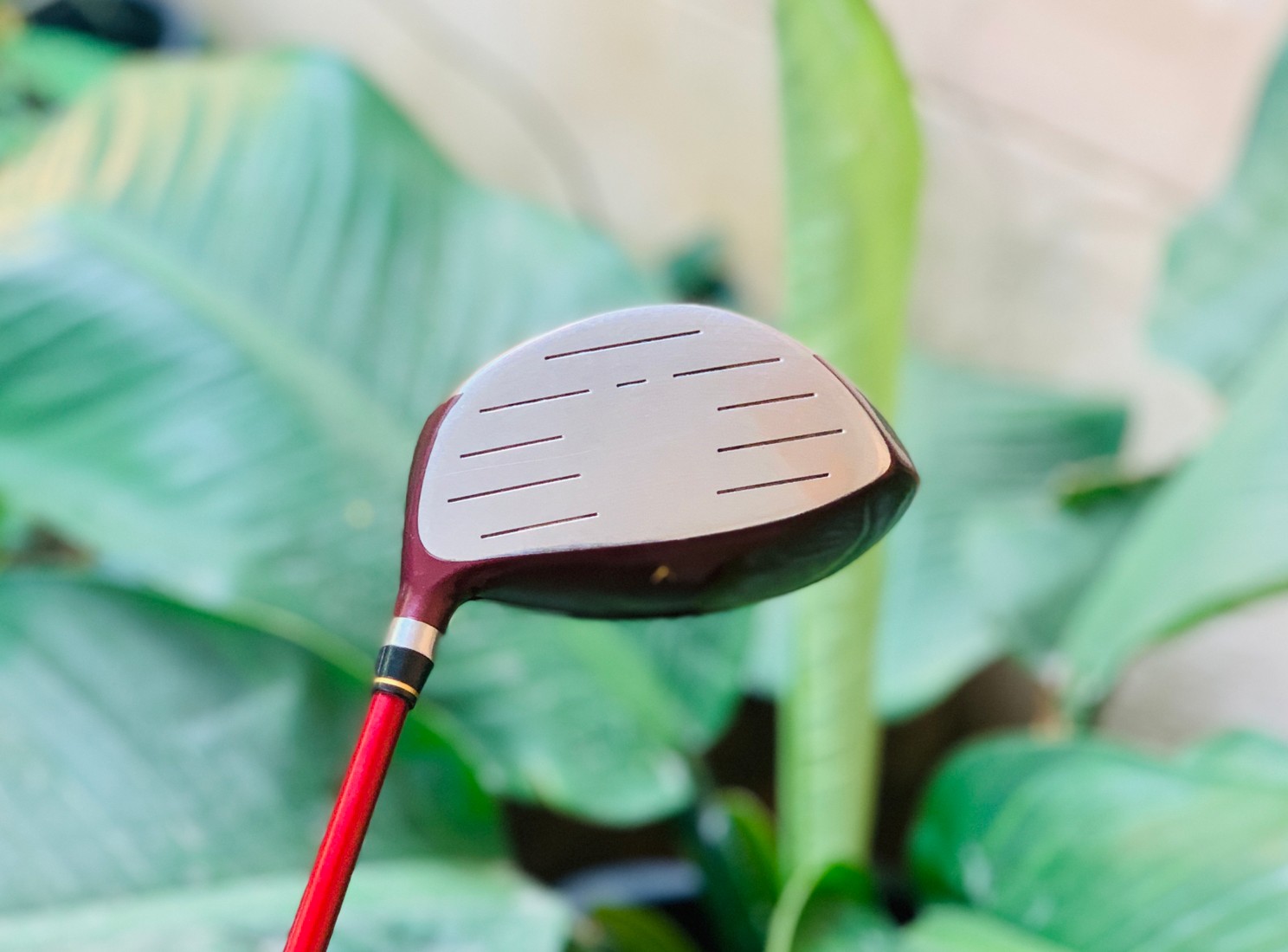 DRIVER 1 LF401 LANCE FIELD LOFT*11 **ไม้กอล์ฟสำหรับผู้หญิง**